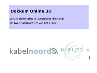   Dokkum Online 3D Lokale organisaties uit Noordoost-Friesland; De twee hoofdpartners van het project 