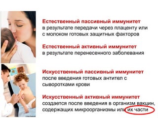 What is this second type of exposure
called?
Естественный пассивный иммунитет
в результате передачи через плаценту или
с молоком готовых защитных факторов
Естественный активный иммунитет
в результате перенесенного заболевания
Искусственный пассивный иммунитет
после введения готовых антител с
сыворотками крови
Искусственный активный иммунитет
создается после введения в организм вакцин,
содержащих микроорганизмы или их части
 
