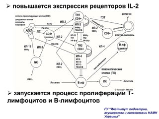  повышается экспрессия рецепторов IL-2
 запускается процесс пролиферации Т-
лимфоцитов и В-лимфоцитов
ГУ “Институт педиатрии,
акушерства и гинекологии НАМН
Украины”
 