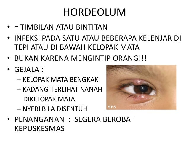 Dokter Kecil