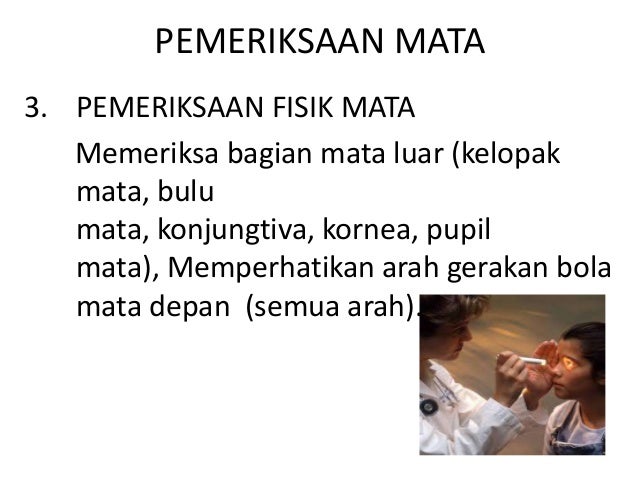 Dokter Kecil