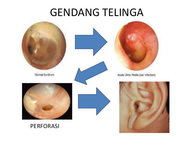 Dokter Kecil