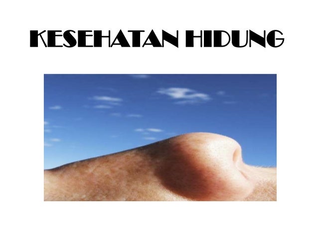 Dokter Kecil