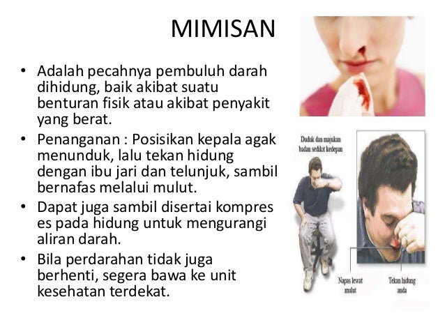 Dokter Kecil