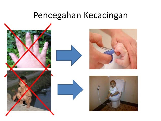 Dokter Kecil