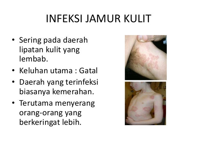 Dokter Kecil