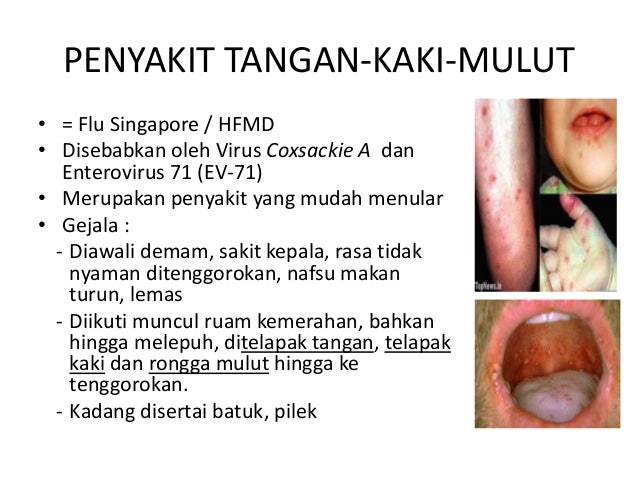 Dokter Kecil