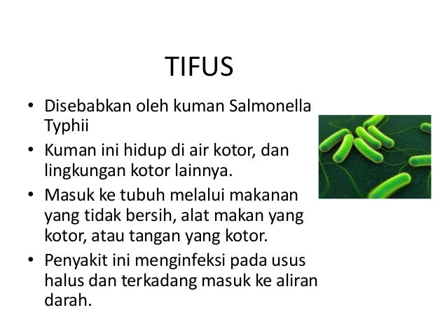 Dokter Kecil
