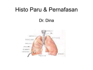 Histo Paru & Pernafasan
Dr. Dina
 