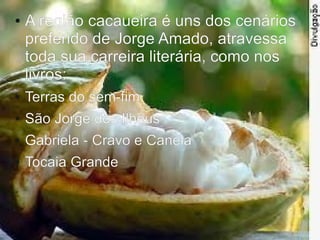 ● A região cacaueira é uns dos cenários
preferido de Jorge Amado, atravessa
toda sua carreira literária, como nos
livros:
● Terras do sem-fim
● São Jorge dos Ilhéus
● Gabriela - Cravo e Canela
● Tocaia Grande
 
