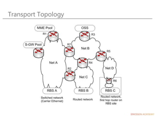 Transport Topology
 