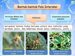 Bentuk-bentuk Pola Interaksi
Peristiwa Makan dan
Dimakan
Simbiosis
Organisme penyusun
makanan
merupakan bentuk hidup bersama antara dua individu yang
berbeda jenis. Ada beberapa macam jenis simbiosis, yaitu :
Simbiosis Lebah dengan
bunga
Mutualisme
Simbiosis ikan badut
dengan anemon
Komensalisme
Simbiosis putri malu
dengan inangnya
Parasitisme
 