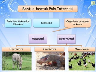 Bentuk-bentuk Pola Interaksi
Peristiwa Makan dan
Dimakan
Simbiosis
Organisme penyusun
makanan
Autotrof Heterotrof
Herbivora Karnivora Omnivora
 