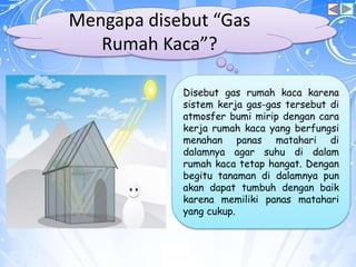 Mengapa disebut “Gas
Rumah Kaca”?
Disebut gas rumah kaca karena
sistem kerja gas-gas tersebut di
atmosfer bumi mirip dengan cara
kerja rumah kaca yang berfungsi
menahan panas matahari di
dalamnya agar suhu di dalam
rumah kaca tetap hangat. Dengan
begitu tanaman di dalamnya pun
akan dapat tumbuh dengan baik
karena memiliki panas matahari
yang cukup.
 