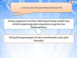 2. Interaksi dalam Ekosistem Membentuk Suatu Pola
Setiap organisme tersebut tidak dapat hidup sendiri dan
selalu bergantung pada organisme yang lain dan
lingkungannya.
Saling ketergantungan ini akan membentuk suatu pola
interaksi.
 