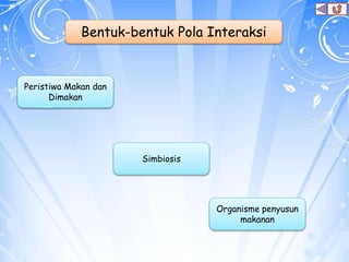 Bentuk-bentuk Pola Interaksi
Peristiwa Makan dan
Dimakan
Simbiosis
Organisme penyusun
makanan
 