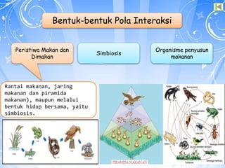 Bentuk-bentuk Pola Interaksi
Peristiwa Makan dan
Dimakan
Simbiosis
Organisme penyusun
makanan
Rantai makanan, jaring
makanan dan piramida
makanan), maupun melalui
bentuk hidup bersama, yaitu
simbiosis.
 