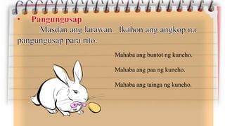 Mahaba ang buntot ng kuneho.
Mahaba ang paa ng kuneho.
Mahaba ang tainga ng kuneho.
 