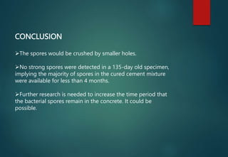 CONCLUSION
The spores would be crushed by smaller holes.
No strong spores were detected in a 135-day old specimen,
implying the majority of spores in the cured cement mixture
were available for less than 4 months.
Further research is needed to increase the time period that
the bacterial spores remain in the concrete. It could be
possible.
 