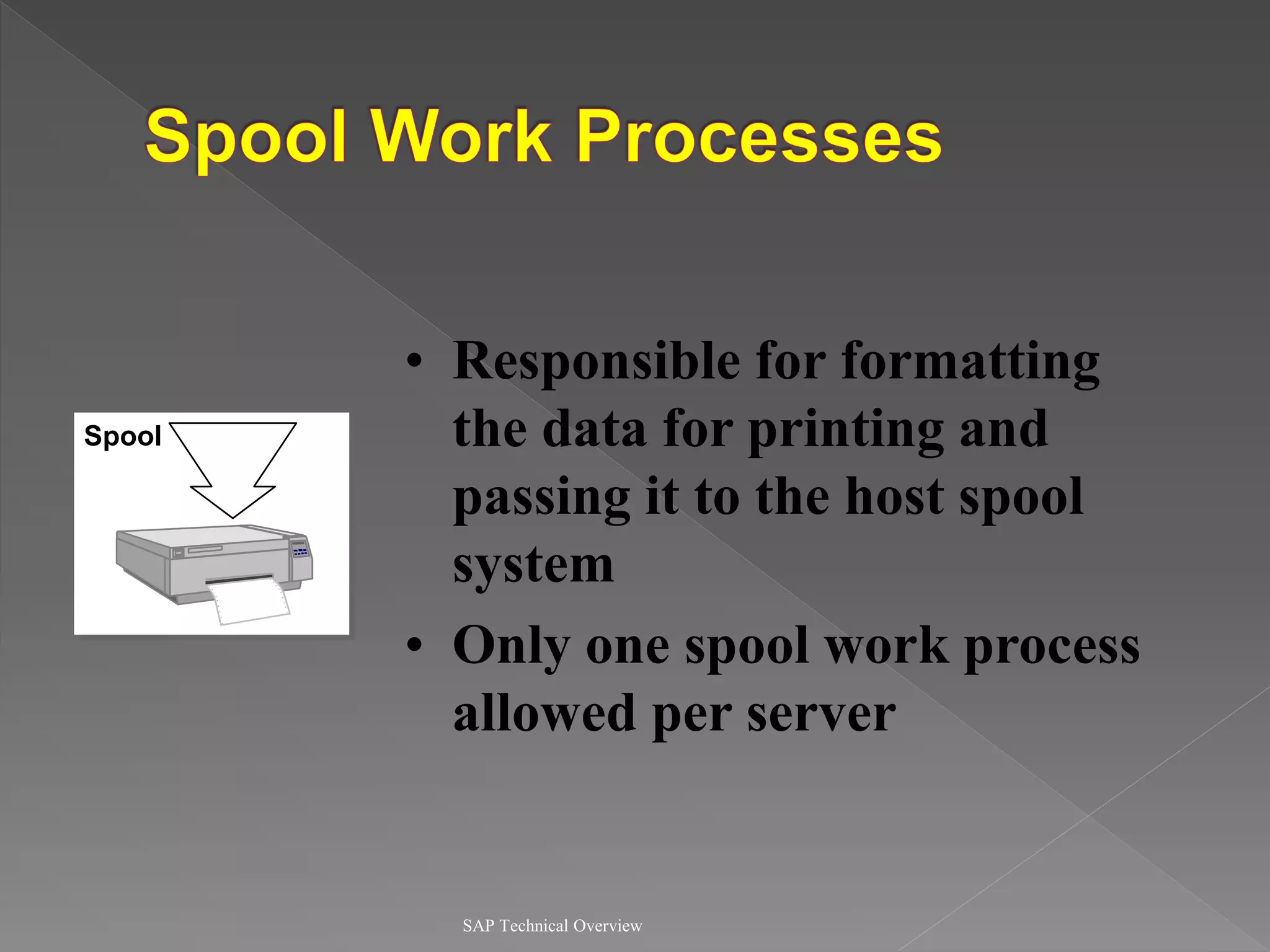 SAP Technical Overview
• Responsible for formatting
the data for printing and
passing it to the host spool
system
• Only one spool work process
allowed per server
Spool
 