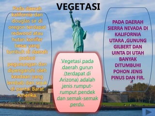 VEGETASI
Vegetasi pada
daerah gurun
(terdapat di
Arizona) adalah
jenis rumput-
rumput pendek
dan semak-semak
perdu.
 