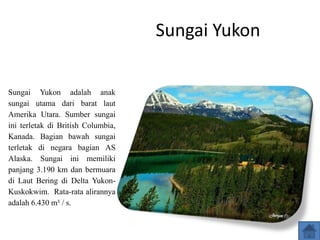 Sungai Yukon
Sungai Yukon adalah anak
sungai utama dari barat laut
Amerika Utara. Sumber sungai
ini terletak di British Columbia,
Kanada. Bagian bawah sungai
terletak di negara bagian AS
Alaska. Sungai ini memiliki
panjang 3.190 km dan bermuara
di Laut Bering di Delta Yukon-
Kuskokwim. Rata-rata alirannya
adalah 6.430 m³ / s.
 