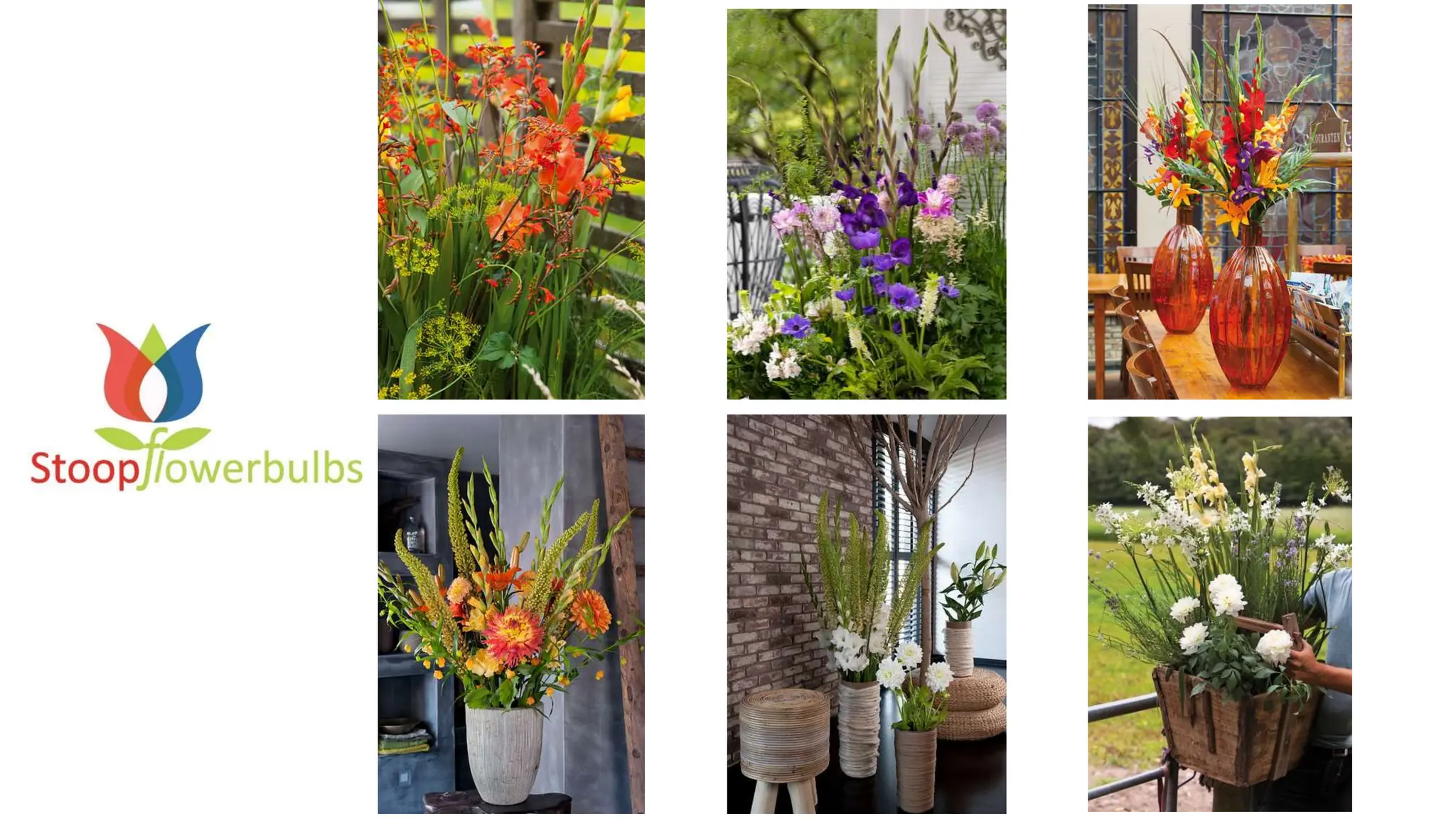 powerpoint-japanese-art-of-flower-arrangement-ceremony-flowers-stoop.pdf