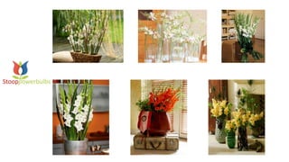 powerpoint-japanese-art-of-flower-arrangement-ceremony-flowers-stoop.pdf