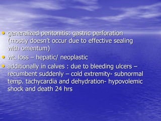 • generalized peritonitis: gastric perforation
(mostly doesn’t occur due to effective sealing
with omentum)
• wt. loss – hepatic/ neoplastic
• additionally in calves : due to bleeding ulcers –
recumbent suddenly – cold extremity- subnormal
temp. tachycardia and dehydration- hypovolemic
shock and death 24 hrs
 
