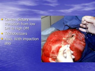 • Calves: dietary
transition from low
DM to high DM
• Trichobezoars
• Asso. With impaction
also
 