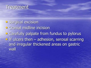 Treatment
• Surgical excision
• Cranial midline incision
• Carefully palpate from fundus to pylorus
• If ulcers then – adhesion, serosal scarring
and irregular thickened areas on gastric
wall
 