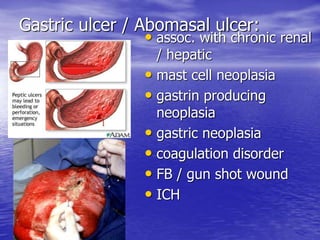 Gastric ulcer / Abomasal ulcer:
• assoc. with chronic renal
/ hepatic
• mast cell neoplasia
• gastrin producing
neoplasia
• gastric neoplasia
• coagulation disorder
• FB / gun shot wound
• ICH
 