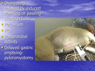 • Overeating –
relieved by induced
vomiting or passing
stomach tube
• Parasitism
• Pica
• Postprandial
activity
• Delayed gastric
emptying-
pyloromyotomy
 