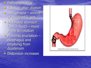 • Pathophysiology
• Rotation after dilation
• Aerophagia – source
of intragastric gas
• Distended stomach
(gas + fluid) – more
prone to rotation
• Prevents eructation –
esophagus and
emptying from
duodenum
• Distension increases
 