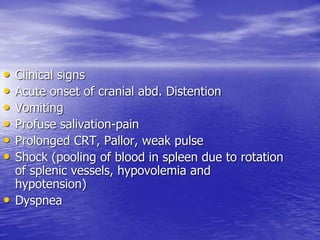• Clinical signs
• Acute onset of cranial abd. Distention
• Vomiting
• Profuse salivation-pain
• Prolonged CRT, Pallor, weak pulse
• Shock (pooling of blood in spleen due to rotation
of splenic vessels, hypovolemia and
hypotension)
• Dyspnea
 