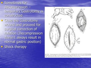 • Sometimes for
decompression –
temporary Gastrotomy is
constructed
• Close the Gastrotomy
wound and proceed for
surgical correction of
rotation (Decompression
doesn’t always result in
normal gastric position)
• Shock therapy
 