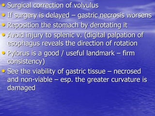 • Surgical correction of volvulus
• If surgery is delayed – gastric necrosis worsens
• Reposition the stomach by derotating it
• Avoid injury to splenic v. (digital palpation of
esophagus reveals the direction of rotation
• Pylorus is a good / useful landmark – firm
consistency)
• See the viability of gastric tissue – necrosed
and non-viable – esp. the greater curvature is
damaged
 