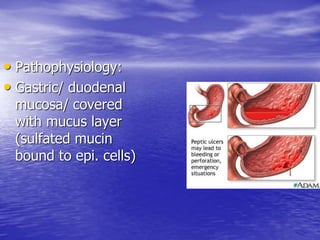 • Pathophysiology:
• Gastric/ duodenal
mucosa/ covered
with mucus layer
(sulfated mucin
bound to epi. cells)
 