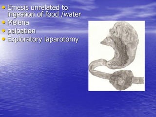 • Emesis unrelated to
ingestion of food /water
• Melena
• palpation
• Exploratory laparotomy
 