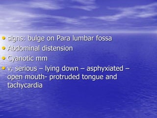• signs: bulge on Para lumbar fossa
• Abdominal distension
• Cyanotic mm
• v. serious – lying down – asphyxiated –
open mouth- protruded tongue and
tachycardia
 