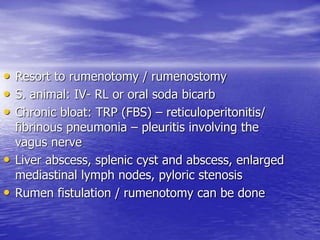 • Resort to rumenotomy / rumenostomy
• S. animal: IV- RL or oral soda bicarb
• Chronic bloat: TRP (FBS) – reticuloperitonitis/
fibrinous pneumonia – pleuritis involving the
vagus nerve
• Liver abscess, splenic cyst and abscess, enlarged
mediastinal lymph nodes, pyloric stenosis
• Rumen fistulation / rumenotomy can be done
 