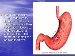 • Reflux of bile salts
from duodenum to
stomach – bile salts –
more destructive than
pancreatic juices- act
as detergents that
solubilize lipid - cell
memb and inhibit the
ion transport sys.
 