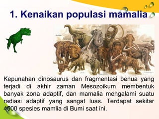 dokumen.tips_radiasi-mamalia-dan-asal-usul-manusia-sukses-7c.ppt