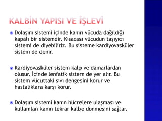  Dolaşım sistemi içinde kanın vücuda dağıldığı
kapalı bir sistemdir. Kısacası vücudun taşıyıcı
sistemi de diyebiliriz. Bu sisteme kardiyovasküler
sistem de denir.
 Kardiyovasküler sistem kalp ve damarlardan
oluşur. İçinde lenfatik sistem de yer alır. Bu
sistem vücuttaki sıvı dengesini korur ve
hastalıklara karşı korur.
 Dolaşım sistemi kanın hücrelere ulaşması ve
kullanılan kanın tekrar kalbe dönmesini sağlar.
 
