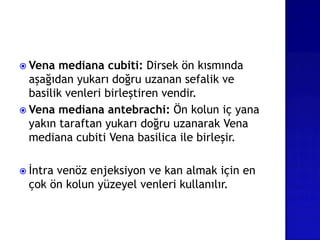  Vena mediana cubiti: Dirsek ön kısmında
aşağıdan yukarı doğru uzanan sefalik ve
basilik venleri birleştiren vendir.
 Vena mediana antebrachi: Ön kolun iç yana
yakın taraftan yukarı doğru uzanarak Vena
mediana cubiti Vena basilica ile birleşir.
 İntra venöz enjeksiyon ve kan almak için en
çok ön kolun yüzeyel venleri kullanılır.
 