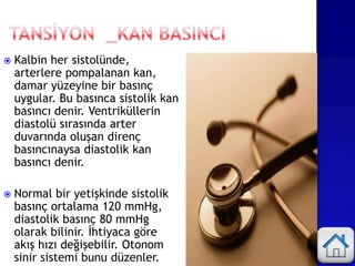  Kalbin her sistolünde,
arterlere pompalanan kan,
damar yüzeyine bir basınç
uygular. Bu basınca sistolik kan
basıncı denir. Ventriküllerin
diastolü sırasında arter
duvarında oluşan direnç
basıncınaysa diastolik kan
basıncı denir.
 Normal bir yetişkinde sistolik
basınç ortalama 120 mmHg,
diastolik basınç 80 mmHg
olarak bilinir. İhtiyaca göre
akış hızı değişebilir. Otonom
sinir sistemi bunu düzenler.
 