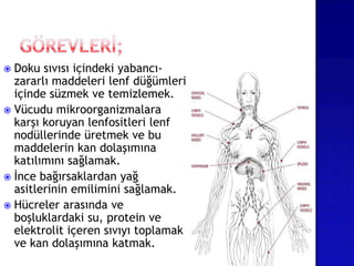  Doku sıvısı içindeki yabancı-
zararlı maddeleri lenf düğümleri
içinde süzmek ve temizlemek.
 Vücudu mikroorganizmalara
karşı koruyan lenfositleri lenf
nodüllerinde üretmek ve bu
maddelerin kan dolaşımına
katılımını sağlamak.
 İnce bağırsaklardan yağ
asitlerinin emilimini sağlamak.
 Hücreler arasında ve
boşluklardaki su, protein ve
elektrolit içeren sıvıyı toplamak
ve kan dolaşımına katmak.
 