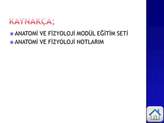  ANATOMİ VE FİZYOLOJİ MODÜL EĞİTİM SETİ
 ANATOMİ VE FİZYOLOJİ NOTLARIM
 