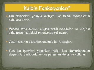  Kan damarları yoluyla oksijeni ve besin maddelerini
dokulara iletir.
 Metabolizma sonucu oluşan artık maddeler ve CO2’nin
dokulardan uzaklaştırılmasında rol oynar.
 Vücut ısısının düzenlenmesinde katkı sağlar.
 Tüm bu işlevleri yaparken kalp, kan damarlarından
oluşan sistemik dolaşımı ve pulmoner dolaşımı kullanır.
 