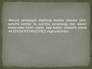  Aksiyon potansiyeli oluşturup kasılma olmadan önce,
somatik sinirler ile uyarılma zorunluluğu olan iskelet
kaslarından farklı olarak, kalp kasları otomatik olarak
AKSİYON POTANSİYELİ oluşturabilirler.
 